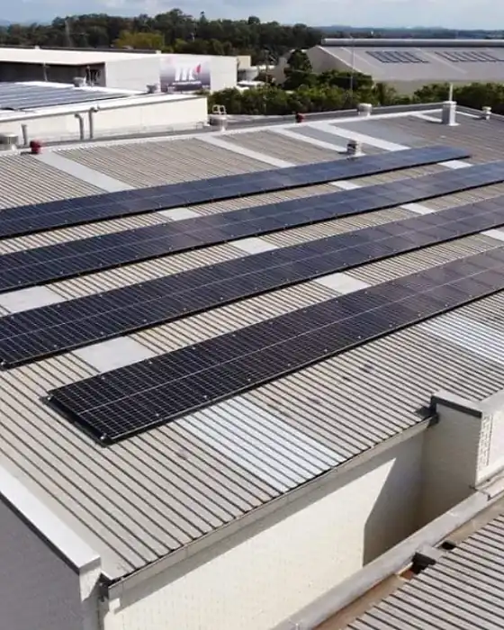 Four long rows of solar panels on the Lucas Papaw Remedies warehouse roof in Acacia Ridge
