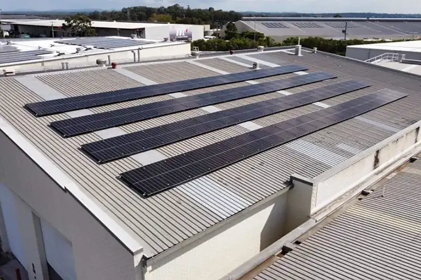Four long rows of solar panels on the Lucas Papaw Remedies warehouse roof in Acacia Ridge